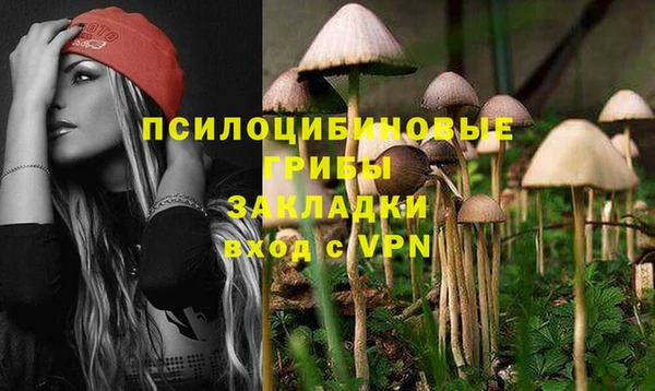 а пвп мука Богородицк
