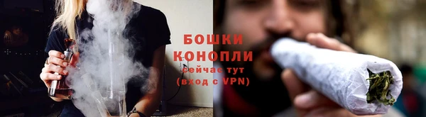 молекула духа Белоозёрский