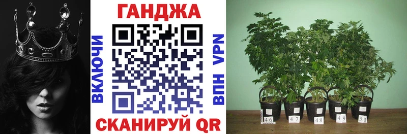 Шишки марихуана планчик  MEGA ССЫЛКА  Болгар 